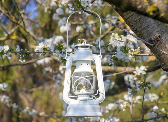 Feuerhand Baby Special 276 Hurricane Lantern Pure White - Wylies Outdoor World Feuerhand Baby Special 276 Hurricane Lantern Pure White - Wylies Outdoor World
