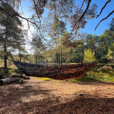 DD Hammocks Camping Hammock hanging in a serene forest setting, perfect for leisure and wild camping.