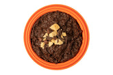 Expedition Foods Chocolate Chip Biscuit Pudding (Breakfast/Dessert Range) | Freeze-Dried Meal