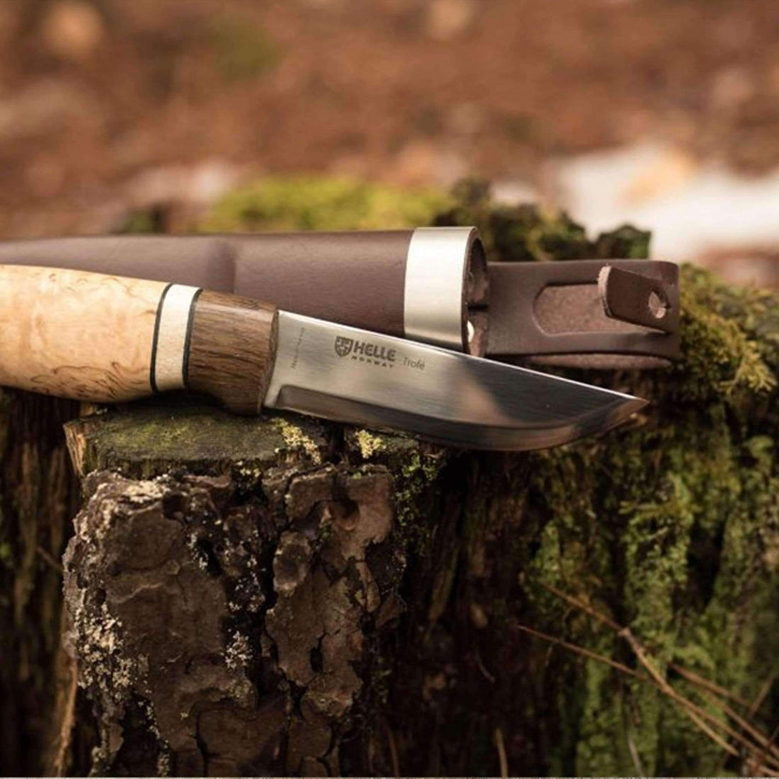 Fixed Blade Bushcraft Knives