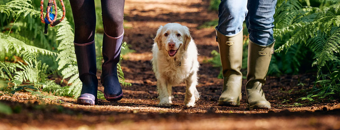 Grubs Wellington Boots for men and women UK 