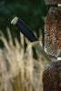 Mora 860 Companion Stainless Steel Bushcraft Knife Fixed Blade