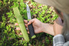 Mora 860 Companion Stainless Steel Bushcraft Knife Fixed Blade