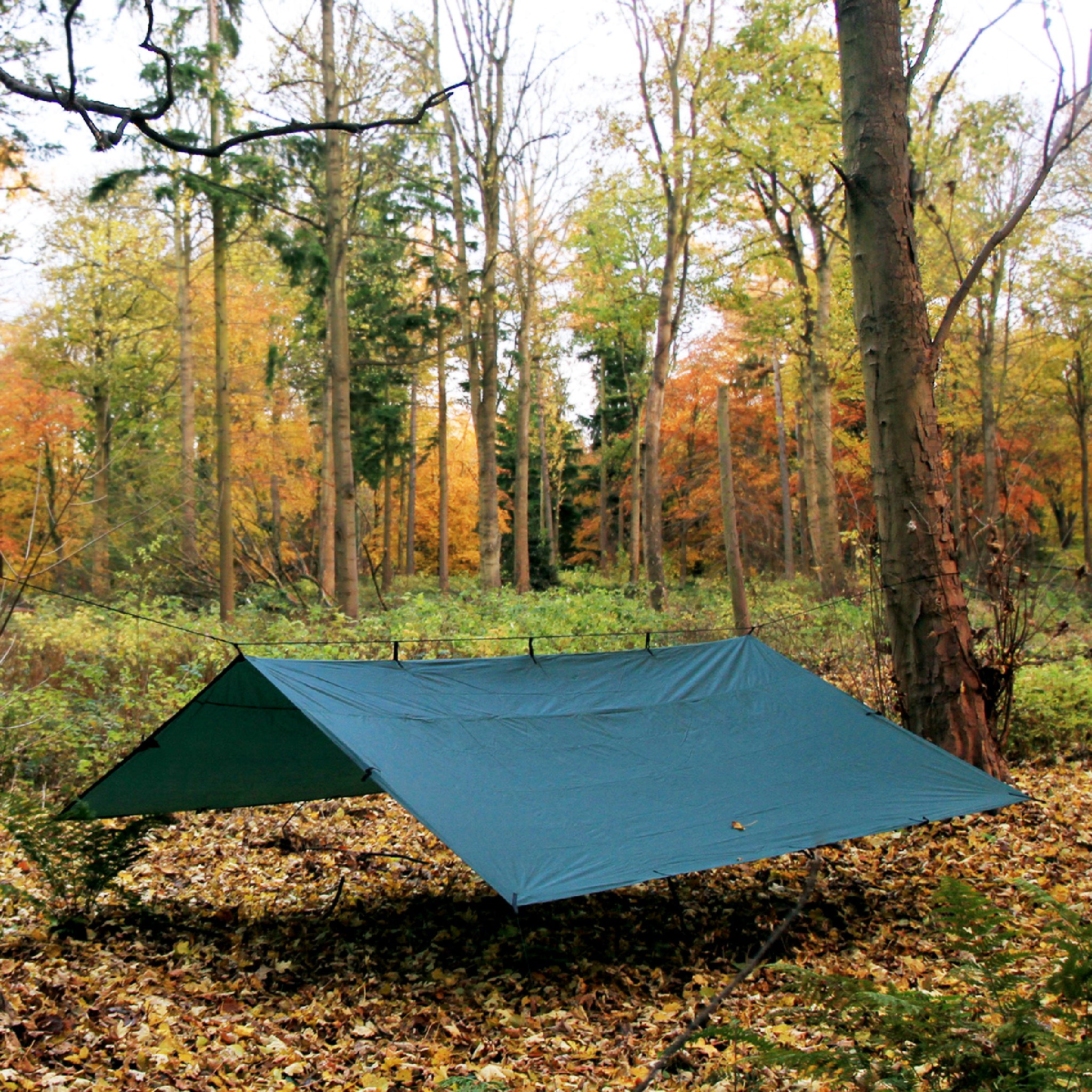 DD Tarp 4x4 Waterproof Camping Tarp – Wylies Outdoor World