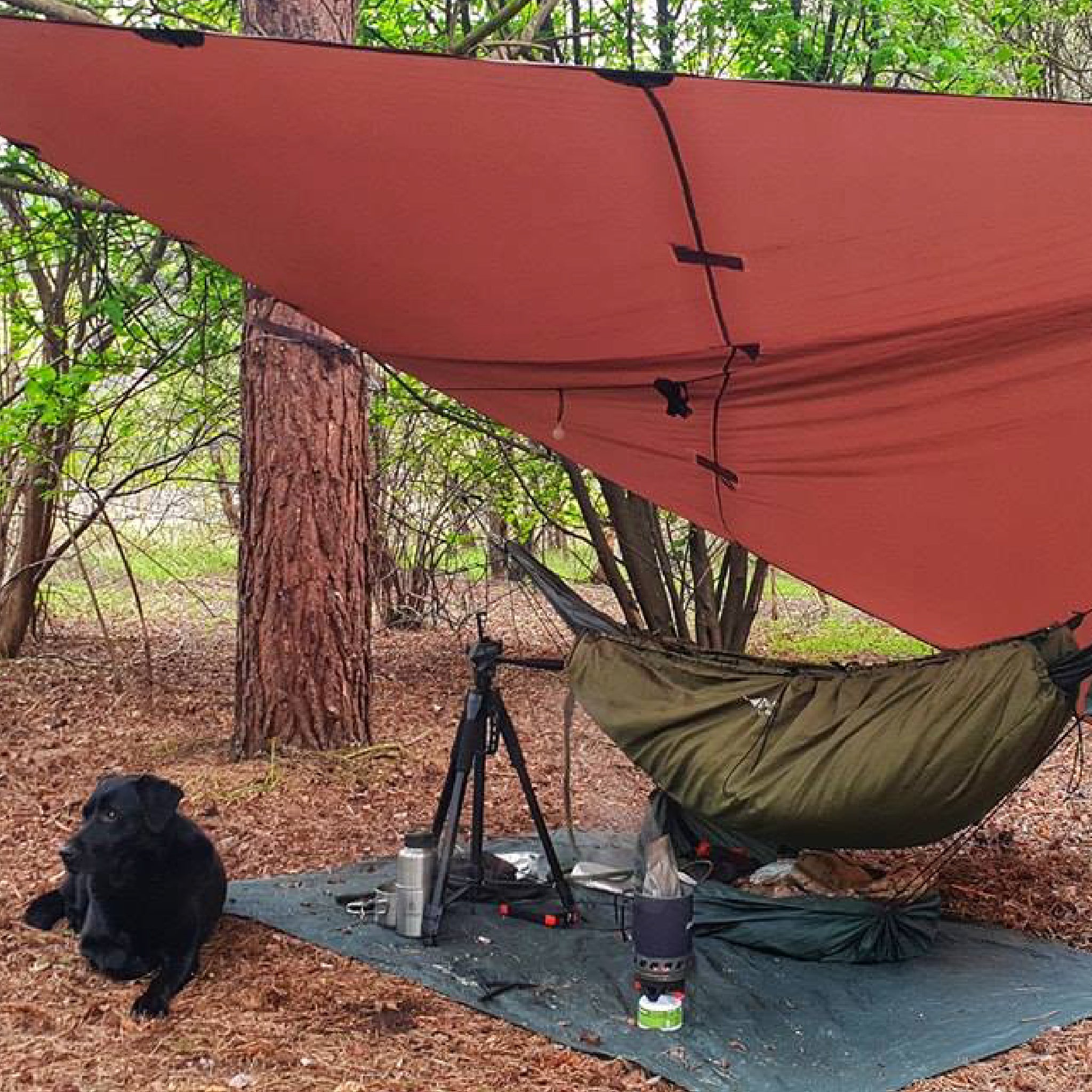 dd hängematte DD Magic Carpet Versatile Outdoor Tarp – Wylies Outdoor World