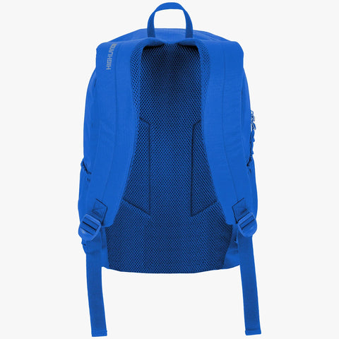 Back view of the Selkirk 25L Backpack showcasing padded shoulder straps and breathable back panel design.