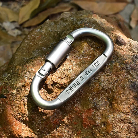 Carabiner Set 