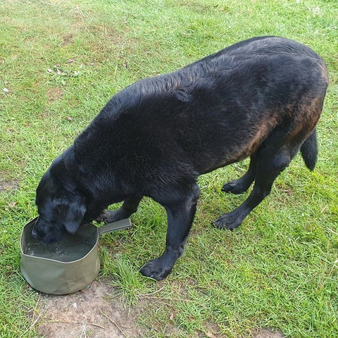 kombat_uk_collapsable_dog_water_bowl_for_camping_and_hiking_from_wylies_outdoor_world_in_fife_scotland_uk