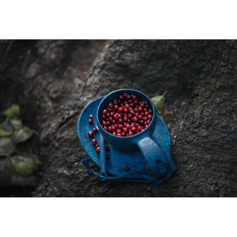 Kupilka Gift Box - Blueberry