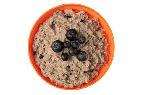 Expedition Foods Porridge with Blueberries | Freeze-Dried Meal